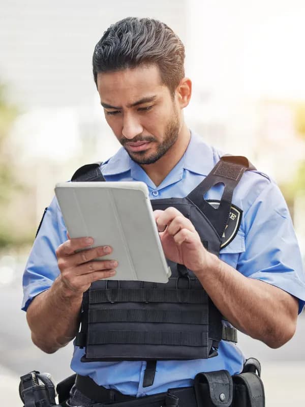 Security Professional