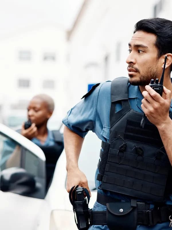 Security Professional