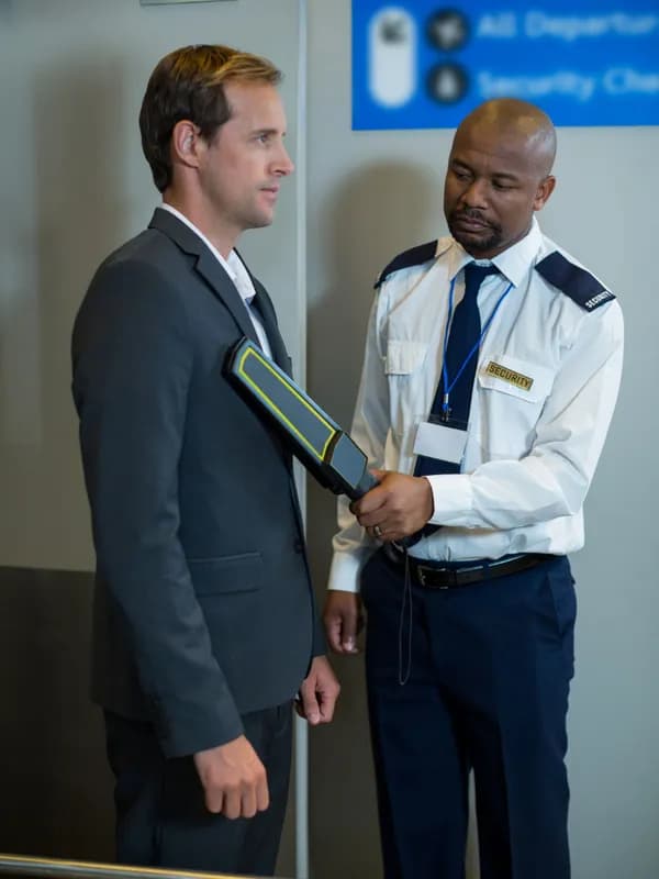 Security Professional