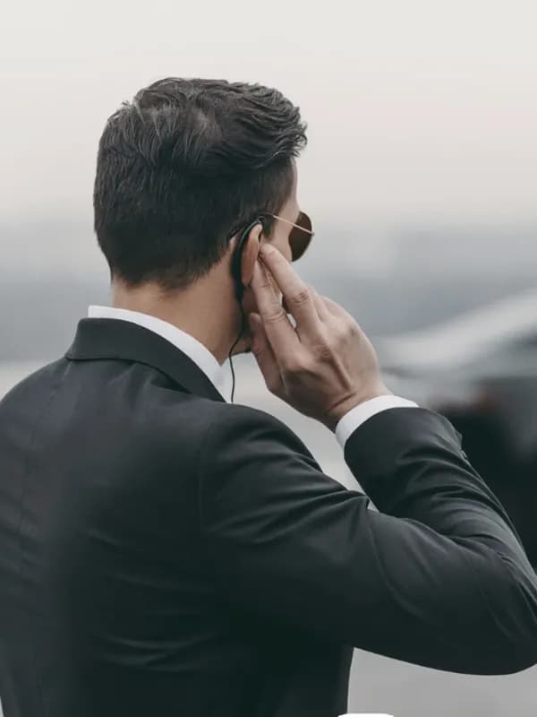 Security Professional