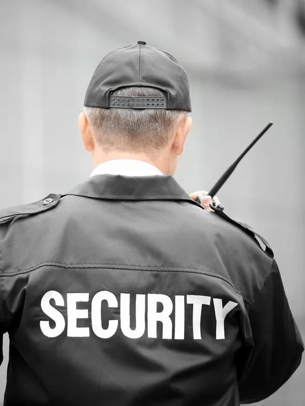 Security Professional